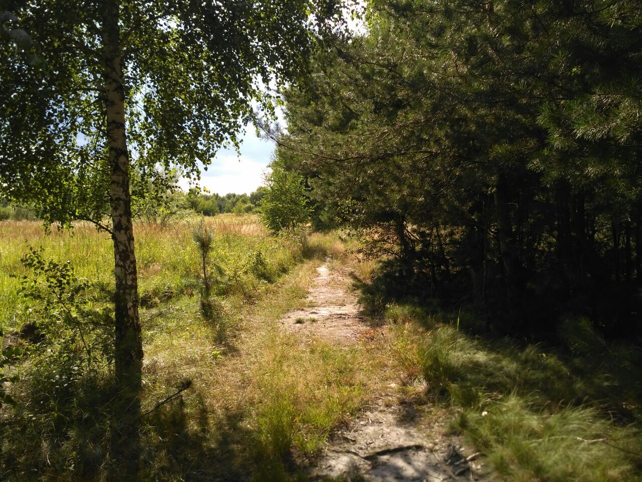 d44e1378-ffe0-4451-983b-d34de0979de8.jpeg