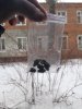 20180328_160215.jpg